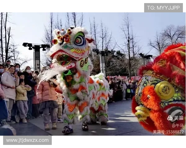 沧州雄狮崛起展现中国传统文化魅力与现代力量的完美融合